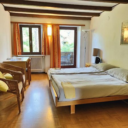 Parkhotel Emmaus - Casa Rustico Ascona Bagian luar foto